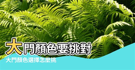 大門顏色 風水|【風水特輯】大門顏色選擇怎麼挑？看這篇找到你的開運色